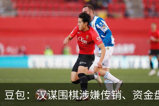 豆包：汉谋围棋涉嫌传销、资金盘争议，风险极高
