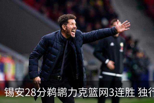 锡安28分鹈鹕力克篮网3连胜 独行侠险胜马刺